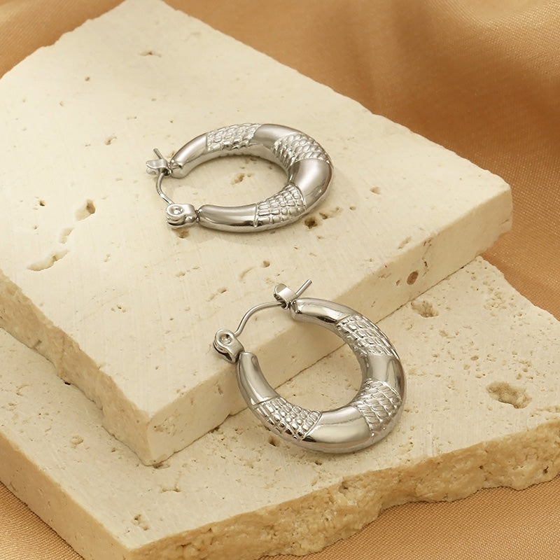 Titanium Steel Hoop Earrings